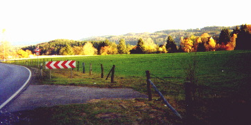 Schwarzwaldausl�ufer